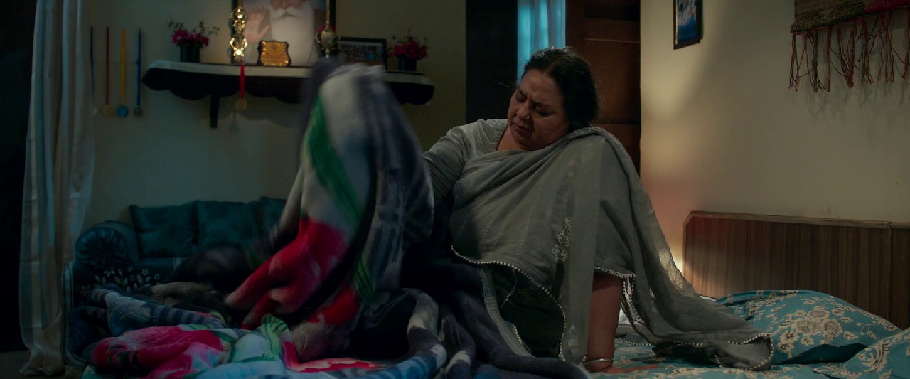 Ni Main Sass Kuttni 2 (2024) WEBRip Punjabi 1080p x264 AVC HE-AAC 5.1.mkv.0004